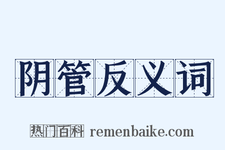 阴管反义词是什么意思的图片
